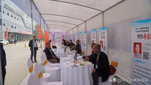 第27届杨凌农高会 百名农业科技专家现场“放大招”，为乡村振兴注入智慧动能